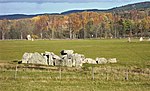 Ekornavallen med gånggriften Girommen (jätteugnen)[11] från stenåldern, tillsammans med en näraliggande domarring och resta stenar från järnåldern.