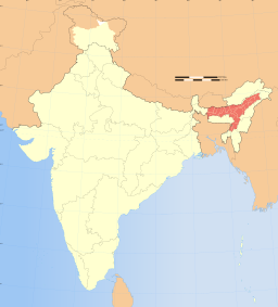 Karta över Indien med Assam markerat.