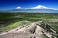 White-peaked Ararat