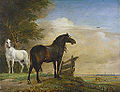 Коні на лузі. 1649. Рейксмузей. Амстердам