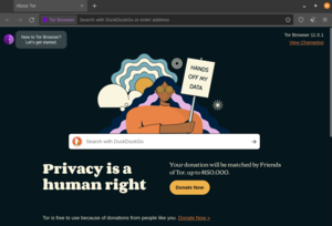 Tor Browser的启动画面