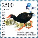 Habroptila wallacii di perangko Indonesia tahun 2012.