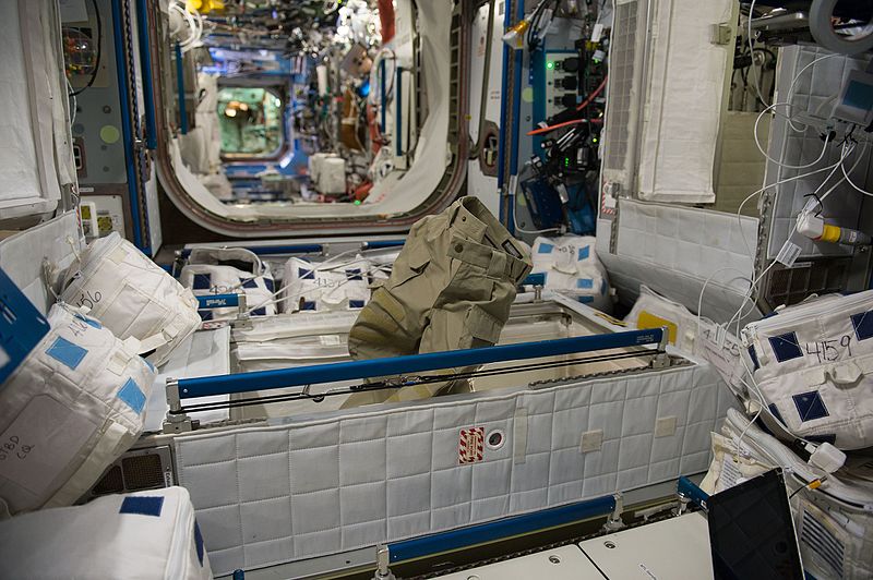 File:ISS-50 Crew quarters in the Harmony module.jpg