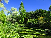 「モネの庭 マルモッタン」の水の庭