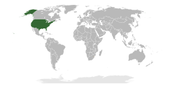 Amerika Birleşik Devletleri. ülkenin haritadaki konumu