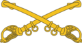 Branch of service insignia
