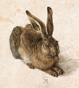 Заяц[ru] (1502)