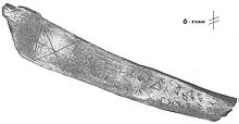 Nowgorod-Fund II, Russland 1000, gefunden 1956; enthält Zeichen der dänischen Variante des jüngeren Futharks