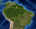 Floresta Amazônica Amazon Rainforest Selva Amazónica Τροπικός Αμαζόνιος