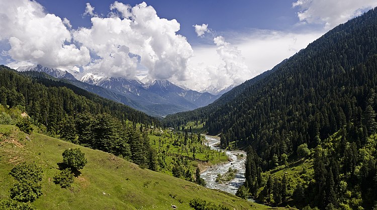 Река Лиддар возле Пахалгама в Кашмирской долине
