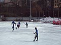 Допты хоккей, Zinkensdamms IP