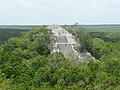 Thành phố cổ đại của người Maya và Các khu bảo vệ rừng nhiệt đới của Calakmul, Mexico