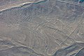 99 Líneas de Nazca, Nazca, Perú, 2015-07-29, DD 49 uploaded by Poco a poco, nominated by Cmao20