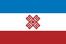 Flaga w latach 2006–2011