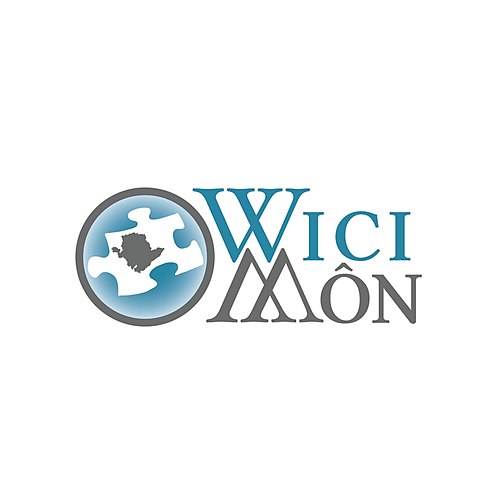 Logo WiciMon