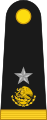 General brigadier (Mexican Army)[5]