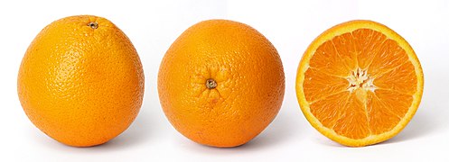 File:Orange and cross section.jpg (2009-10-19)