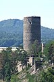 Burg Žebrák