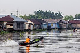 Traditional boats on the Martapura River