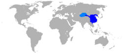 A cairt o the Wastren Han Dynasty in 2 AD: 1) the territory shadit in dark blue represents the principalities andcentrally-admeenistered commanderies o the Han Empire; 2) the licht blue aurie shaws the extent o the Tarim Basin pertectorate o the Wastren Regions.[1]