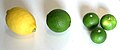 左からレモン、ライム、スダチの果実