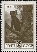 Почтовая марка СССР, 1984 год. Соболь на кедре