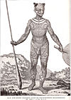 Tätowierter Krieger aus dem Buch von K.v.d. Steinen: Die Marquesaner und ihre Kunst