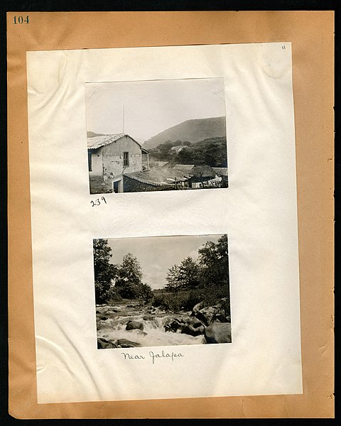 File:Chase album, 1898, 1903, and undated (Page 104) BHL46399539.jpg