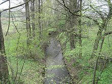 Potok Venclůvka v Šenově