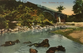 Старый мост в Сочи 1910-е