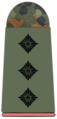 Hauptmann German Army