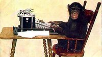 Csimpánz írógéppel