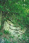 Synklinalveck i Silurian Wills Creek Formation eller Bloomsburg Formation vid Roundtop Hill (Maryland)