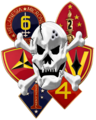 United States Marine Corps Reconnaissance Battalions, United States.