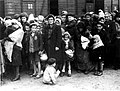 Selekce maďarských Židů v létě 1944