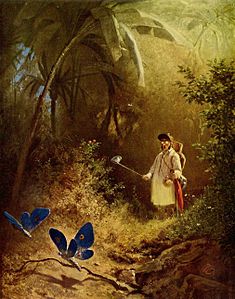 Der Schmetterlingsjäger (El caçador de papallones). pintat per Carl Spitzweg, 1840