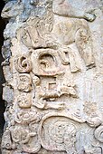 Palenque Palace, House D, detail of stucco relief showing water lilies, long-nosed deity head and legs of seated figure, Classic