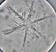 دانهٔ برف زیر میکروسکوپ نوری.