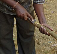 پوست‌کنی از شاخه دارچین، سری‌لانکا