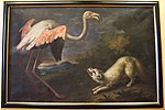 Flamingo und Fuchs, 1717, Villa medicea di Poggio a Caiano
