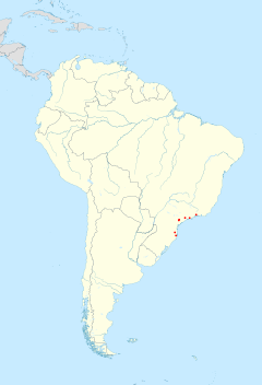 Localidades (em vermelho) onde foram coletados exemplares da espécie.
