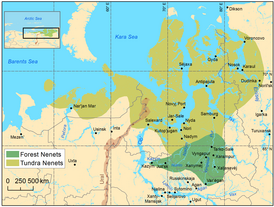 Распространение ненецких языков в XXI веке