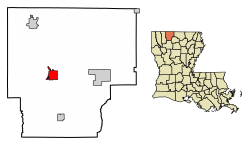 Location of Homer in Claiborne Parish, Louisiana.