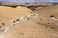 Güney İsrail'de Jura kireçtaşları ve marnlar (Matmor Formasyonu)