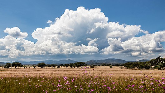 "Large_cloud_over_Mexican_landscape.jpg" by User:Tomascastelazo