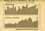 Dzērveņu ievākums ASV 1907.—1935. gados