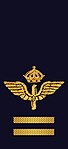 Flygvapnet (uniform m/87)