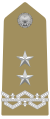 Insigne d'épaulette de général de division