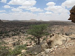 Baadiyaha Somaliland.