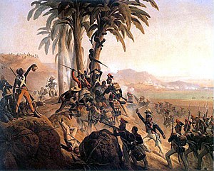 Януарий Суходольский. Битва на Санто-Доминго (Столкновение между польскими легионерами и гаитянскими повстанцами)